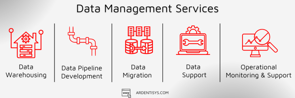 What are Data Management Services